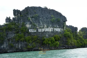 Kilim Mangrove Tour Langkawi Sharing